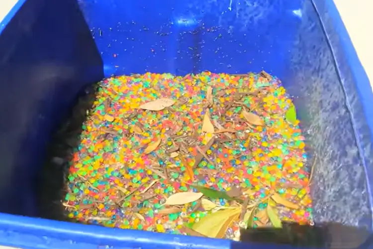 Orbeez Disposal in Household Waste