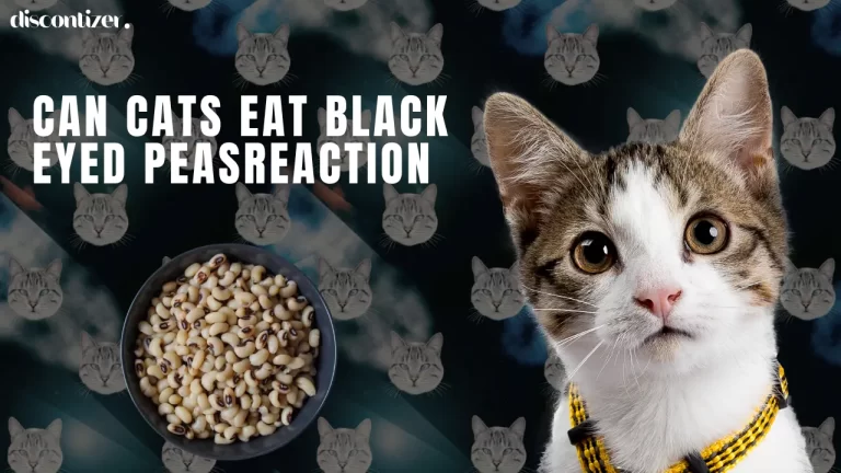Can Cats Eat Black Eyed Peas?