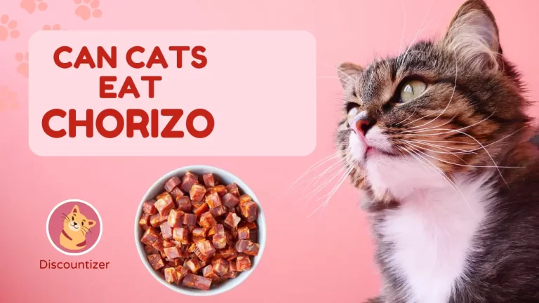 Can Cats Eat Chorizo? A Risky Treat for Cats