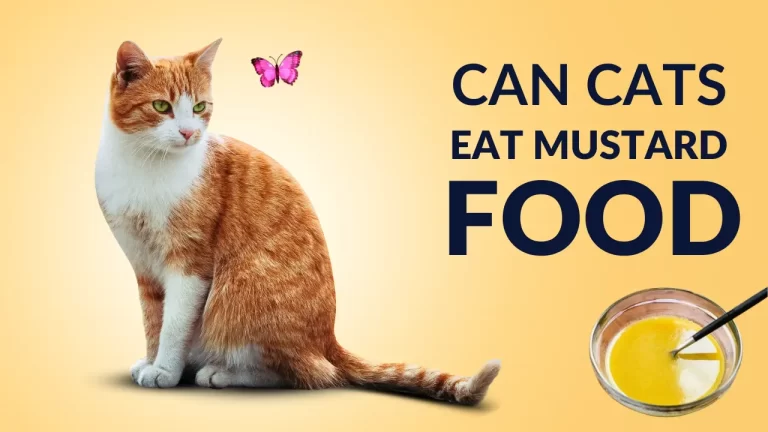 Can Cats Eat Mustard? Exploring the Safety of Your Feline Friend