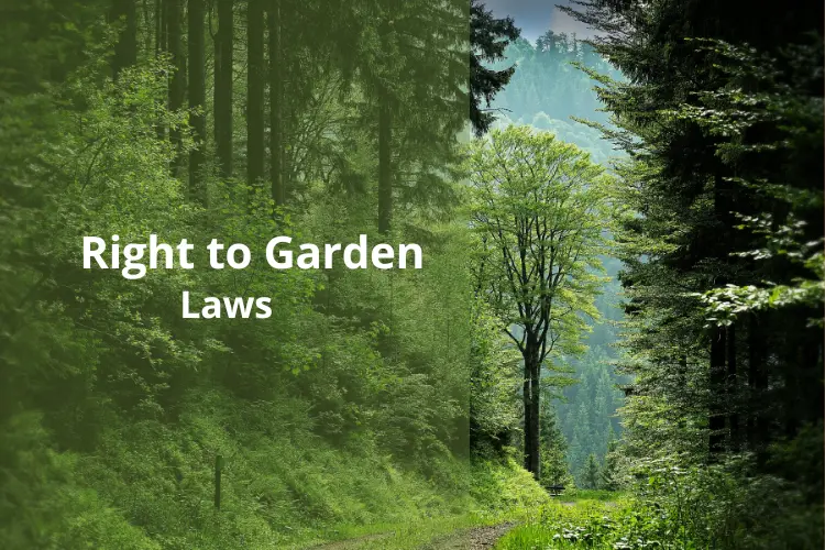 Exploring Right to Garden Laws