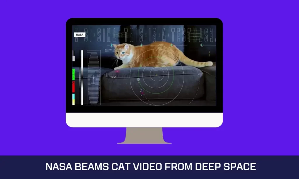 NASA Beams Cat Video from Deep Space