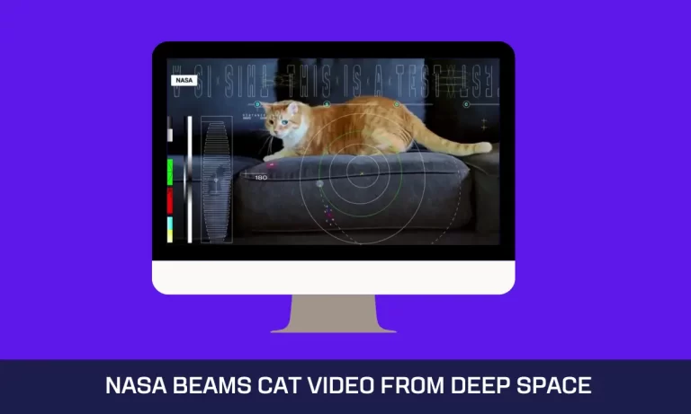 NASA Beams Cat Video from Deep Space, Making History (and Memes)