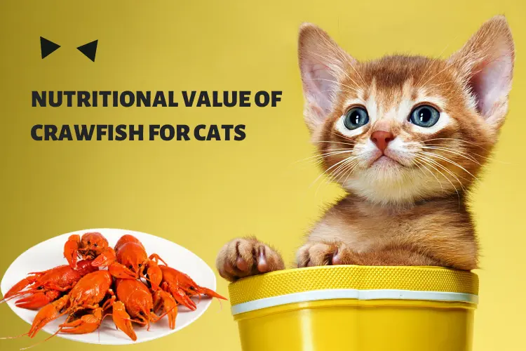 Nutritional Value of Crawfish for Cats