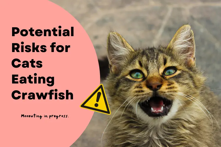 Potential Risks for Cats Eating Crawfish