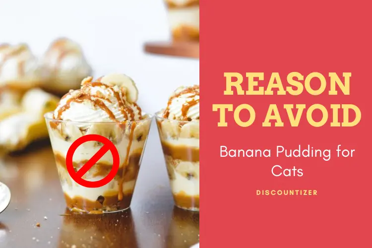 Reasons to Avoid Banana Pudding for Cats